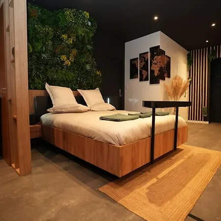 Ferienwohnung Cine Jungle Duplex Balneo Roanne Exterior foto