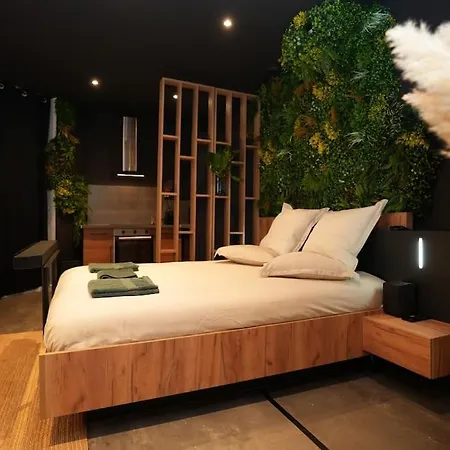 Ferienwohnung Cine Jungle Duplex Balneo Roanne Exterior foto